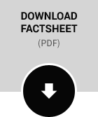 download gamification facts sheet