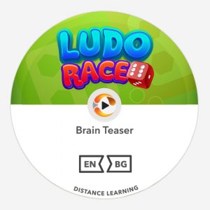 brain teaser ludo race
